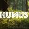 Humus