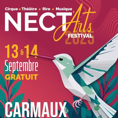 Nect'Arts Festival - Visuel 1